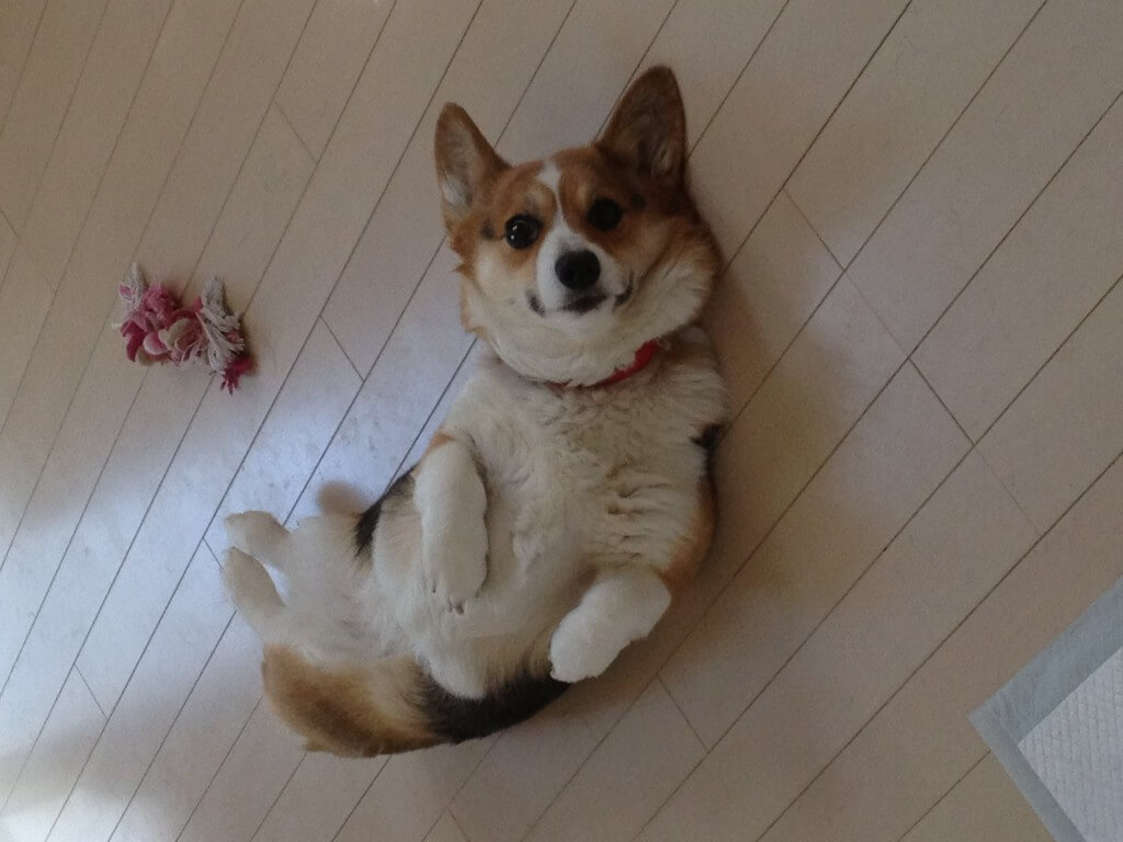 のんびり寝て忘れりゃいいよ。