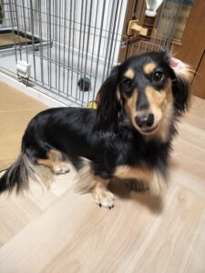 ブログ構成のサンプル（画像もサンプル）笑
画像の注意点
必ずaltに画像の特徴を記載